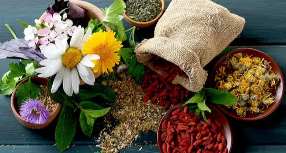 خدمات طب ایرانی